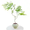 Plantas de interior de escritorio Liuchuanfeng para salas de té, plantas verdes de inspiración zen, bonsáis de nuevo estilo chino, plantas en maceta decorativas para vestíbulos y oficinas
