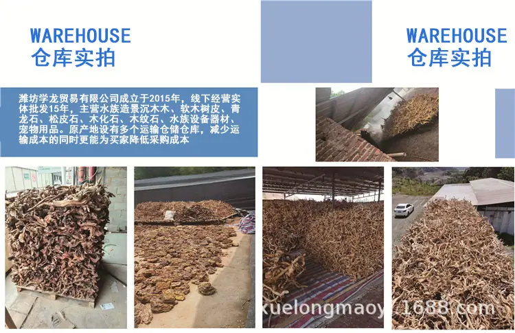 公司展示2.jpg