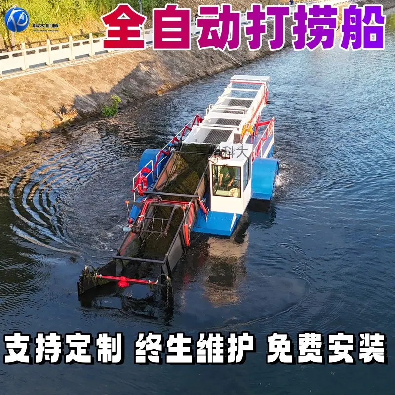大.jpg
