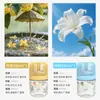 Novo Modelo para Entrega: Zhumeng Casa Celebridade da Internet Sem Fogo Líquido Refil de Aromaterapia para Quarto de Menina Fragrância Gaiola de Pássaro Pequeno Perfume