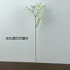 Flores Secas Gipsófila Flores Falsas Flores Artificiales Decoración Ramo de Mano Arreglo Floral de Plástico Boda Hogar Sala de Estar Adorno Flor