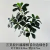 Plantas y flores verdes artificiales al por mayor, flores artificiales para bodas, arreglos florales, materiales decorativos para cubrir tuberías de agua antiestéticas