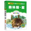 4 Livros por 28 Yuan, Livros de Leitura Fonética Originais Shenbi Ma Liang para Alunos do Ensino Fundamental, Adequados para as Séries 1, 2 e 3, Tanto para Séries Iniciais quanto Finais