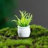 Nueva planta en maceta de simulación de 3-5 cm, venta al por mayor, mini modelo de planta terminado, arte redondo, microadornos para paisajismo.