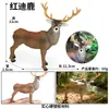 Crianças Simulação Veado-de-cauda-branca Animal Alce Veado Sika Modelo Ornamentos Sólidos Conjunto Brinquedos de Natal