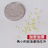 Mosquitero de Malla de Diamante Nano, Malla para Pantalla Cortada a Medida, Pantalla Nano a Prueba de Insectos, Pantalla Nano para Ventana con Compensación por Daños