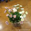 Novos produtos no mercado pequena margarida flor artificial planta material de parede pequena flor de crisântemo selvagem esmeralda arranjo de flores decoração flor por atacado