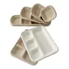 Plato Desechable de Pulpa de Tres Compartimentos para Salsa de Moje Caja de Comida Dividida Plato para Salsa de Sabor para Barbacoa y Hot Pot Bandeja para Ingredientes de Barbacoa Juego Biodegradable de Tres Piezas