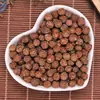 Semillas de Paulownia, Semillas de Paulownia, Semillas de Calabaza, Semillas de Paulownia, Semillas de Árbol de Aceite de Paulownia Venta al por Mayor y Entrega