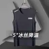 Chal de Nuevo Estilo para Hombre, Chaleco Deportivo de Secado Rápido sin Mangas, Camiseta de Verano, Malla Fina Transpirable, Holgado, Talla Grande, Chaleco para Hombre