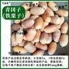 Qinggangzi Também conhecido como Tiezhuzi Tie Lizi Chapéu de Leitão Produtos secos 500g Material medicinal chinês