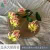 26 Años de Materiales de Flores Rosadas, Diseño de Rendimiento Comercial, Flores Falsas para Sesión de Fotos de Boda Romántica, Flores de Seda para Decoración Suave