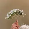 Grampo de Cabelo Gypsophila Inspirado em Celebridades com um Toque de Fada, Adequado para Penteados Presos, Presilha Lateral e Ornamento de Cabelo para Mulheres