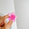 Comercio Exterior Transfronterizo Mini tamaño pequeño 4cm Pasador Flor de Huevo Caliente en Amazon Estilo Festivo Gradiente Dopamina Pinza de Agarre