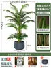 Palmera Areca Artificial Grande de Lujo de Gama Alta, Planta Verde, Árbol Falso, Planta de Bambú Cola de Fénix para Decoración de Paisajismo Tropical de Interiores