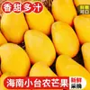 Manga Hainan Xiaotainong 5kg Fresca Xiaotainong Fruta Tropical Sazonal Colhida Fresca Manga Coraçãozinho Produz Frutos Grandes