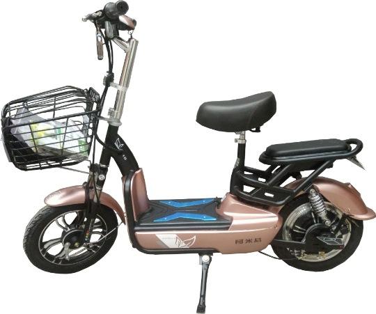 低座车型1.jpg
