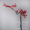 Galhos Artificiais de Flor de Ameixeira Curvados, Flores Artificiais Estilo Chinês Novo, Flores Secas de Wintersweet, Decoração Doméstica Estilo Zen Chinês para Sala de Estar e Hall de Entrada