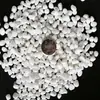 Partículas de piedra flor creciendo ciervo Pantano partículas suculentas suelo vermiculita Perla flores volcánicas suelo Jade Rojo piedra de pavimentación piedras pequeñas