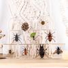 Mercancía de puesto, Educación Científica, Juguetes Culturales y Creativos, Artesanías de Resina de Mariposa, Adornos, Escarabajo Ciervo, Grillo, Especímenes de Insectos
