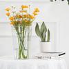 Cubo de Flores Transparente Acrílico Ramo de Flores Grande Cubo de Flores Arte Floral Floristería Jarrón Arreglo Floral Hidropónico Adornos Decoración