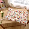 Tapete para Pet, Plataforma para Gaiola de Gato, Tapete de Dormir, Tapete de Algodão, Fixo de Lado Duplo Cão Quente e Acolchoado de Algodão para Dormir