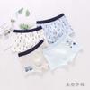 Ropa Interior de Algodón para Niños Mercury Bird Boxer Infantil Grande Boxer para Niños Pantalón Corto Infantil con Estampado de Dibujos Animados