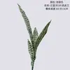 Panxinghe Planta de Piel de Tigre de 5 Hojas Flor Artificial Flor Falsa Planta Verde Venta al por Mayor Decoración de Bodas Artesanías Estilo Ins Fabricante