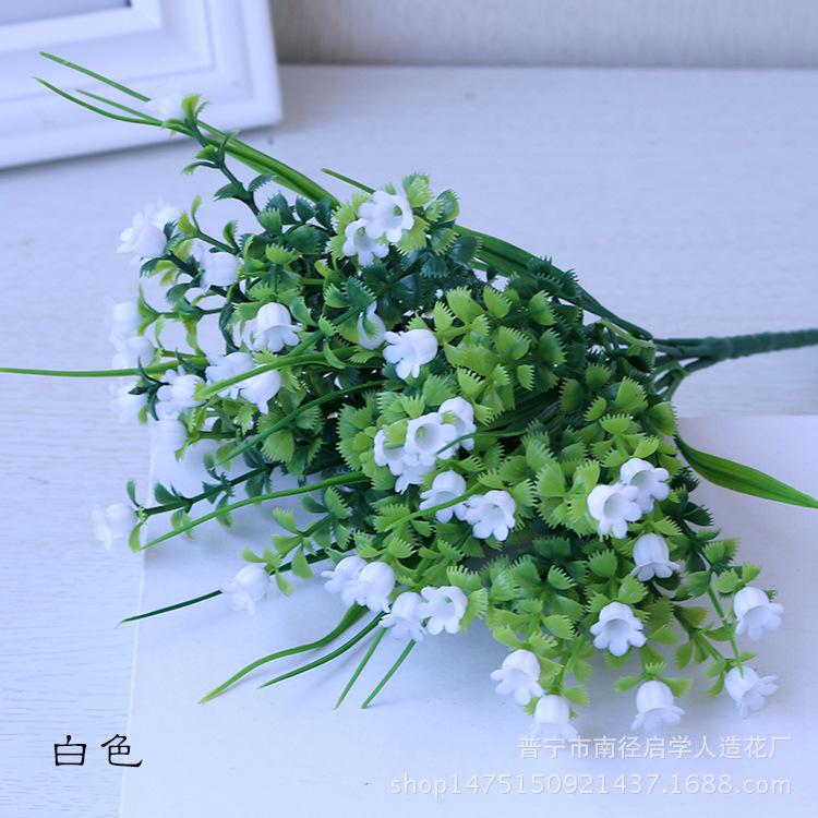 IMG_3982.png