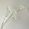 Arreglos Florales de Clematis para Salones de Bodas, Arreglos Florales para Decoración del Hogar, Centros de Mesa Florales, Decoraciones de Boda
