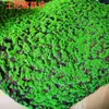 Grama Artificial com Flocagem Pedra Gramado Musgo Pedra Bonsai Planta Musgo