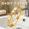 Pulsera de Acero de Titanio con Baño de Oro Real, Pulsera de Trébol de Cuatro Hojas Microincrustado con Circonitas de Lujo Ligero, Versátil y Elegante con un Toque de Alta Gama, Superventas Transfronterizo