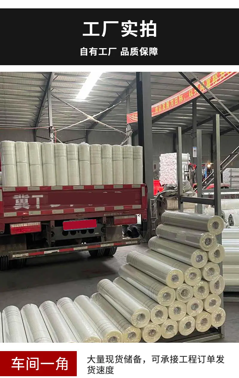 网格布-恢复的_15.jpg