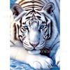 Pintura de tigre con diamantes, llena de animales, adornos de diamantes, bricolaje, para sala de estar, dormitorio, pintura decorativa, fábrica transfronteriza, venta al por mayor
