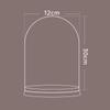 Flor eterna de corcho con cubierta de vidrio transparente, regalo de San Valentín, decoración, regalo festivo, material de cubierta de vidrio