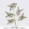 5 hojas artificiales de taro de colores, plantas verdes falsas, hojas de árbol artificiales para decoración de bodas, paisajismo y proyectos de arreglos florales