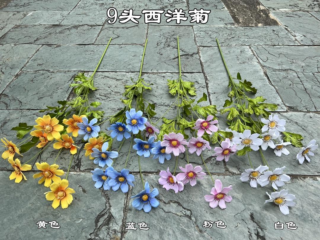 微信图片_20230904185513.jpg