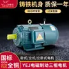Motor eletromagnético com freio YEJ de 8 polos 0,18kw Motor com freio de cobre 0,25kw0,37kw 0,55kw0,75kw