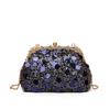 Bolso Pequeño Cruzado de Hombro con Lentejuelas de Diamante Gran Capacidad Bolso de Mano para la Noche Retro Europeo y Americano Cadena Clip Bolso Famoso Yuan