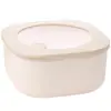 Fabricante Original Marmita Colorida Caixa de Conservação Caixa Bento para Escritório Caixa de Armazenamento Caixa para Refeição com Frutas Caixa de Armazenamento de Alimentos Isolada