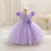 Nuevo Vestido de Princesa para Niña Vestido con Aplicación de Mariposa Falda Tutú de Malla Vestido para Fiesta de Cumpleaños Anfitriona Disfraz de Actuación