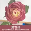 Tinta Spray para Flores, Corante Azul Gelo Triturado Ameixa, Flor de Sabão, Flor Seca, Spray de Arte Floral, Suprimentos para Floricultura Atacado