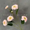Arranjo de Flores de Calêndula 3D com Seis Cabeças para Decoração de Sala de Estar, Flores Artificiais, Comércio Transfronteiriço, 12 Cores Disponíveis