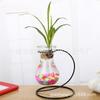 [Zhan Mao] vaso hidropônico criativo suporte para flores ferro verde rabanete hidropônico planta recipiente de vidro decoração ornamentos