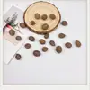 Pendientes de Planta Fruta Bellota Hechos a Mano DIY Fruta Pendientes Personalizados Creativos Material Chica Linda Pendientes Retro