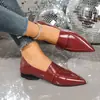 Sapatos Femininos de Bico Fino, Slip-On de Duas Vias, Salto Baixo, Novo Outono 2025, Tamanho Grande, Salto Bloco, Retro, Profissionais para Exportação