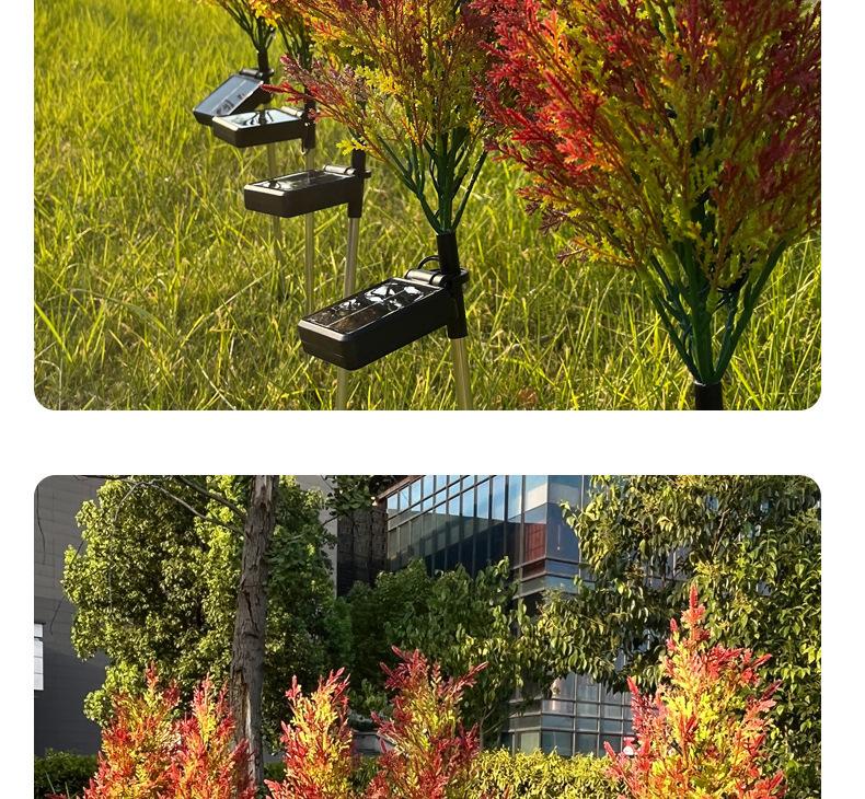 10(1)_16.jpg