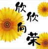 Cartões de desejo, Bom Caqui, amendoim, cartões de felicitações, Laranja Grande, Morango Grande, preocupações, pensamentos, Laranja, Bom Caqui, cartões de desejo de Ano Novo