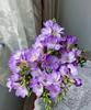 Bulbos de Orquídea de Nieve Fragantes, Plantas de Interior en Maceta de Fresias Multicolores Fragantes, Semillas de Flores para Sembrar en Primavera y Otoño con Capullos, Bulbos de Orquídea de Nieve Fragantes