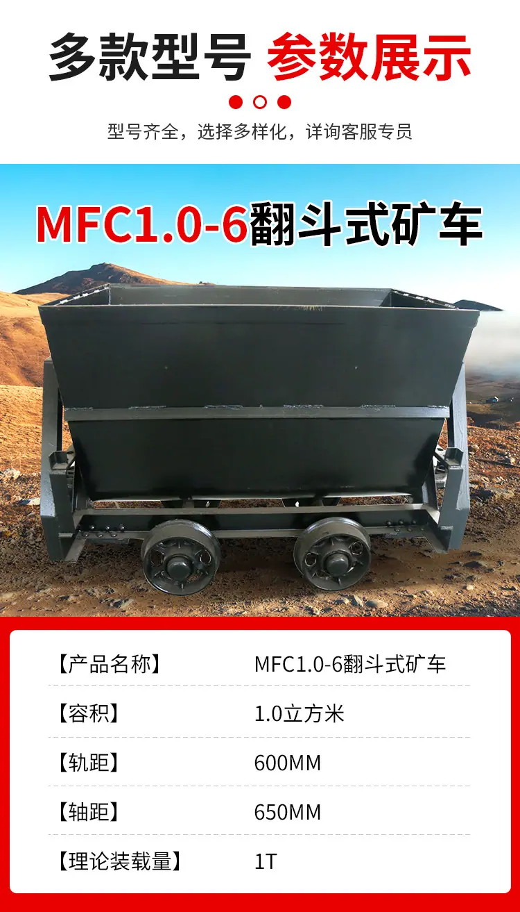 MFC1_03.jpg